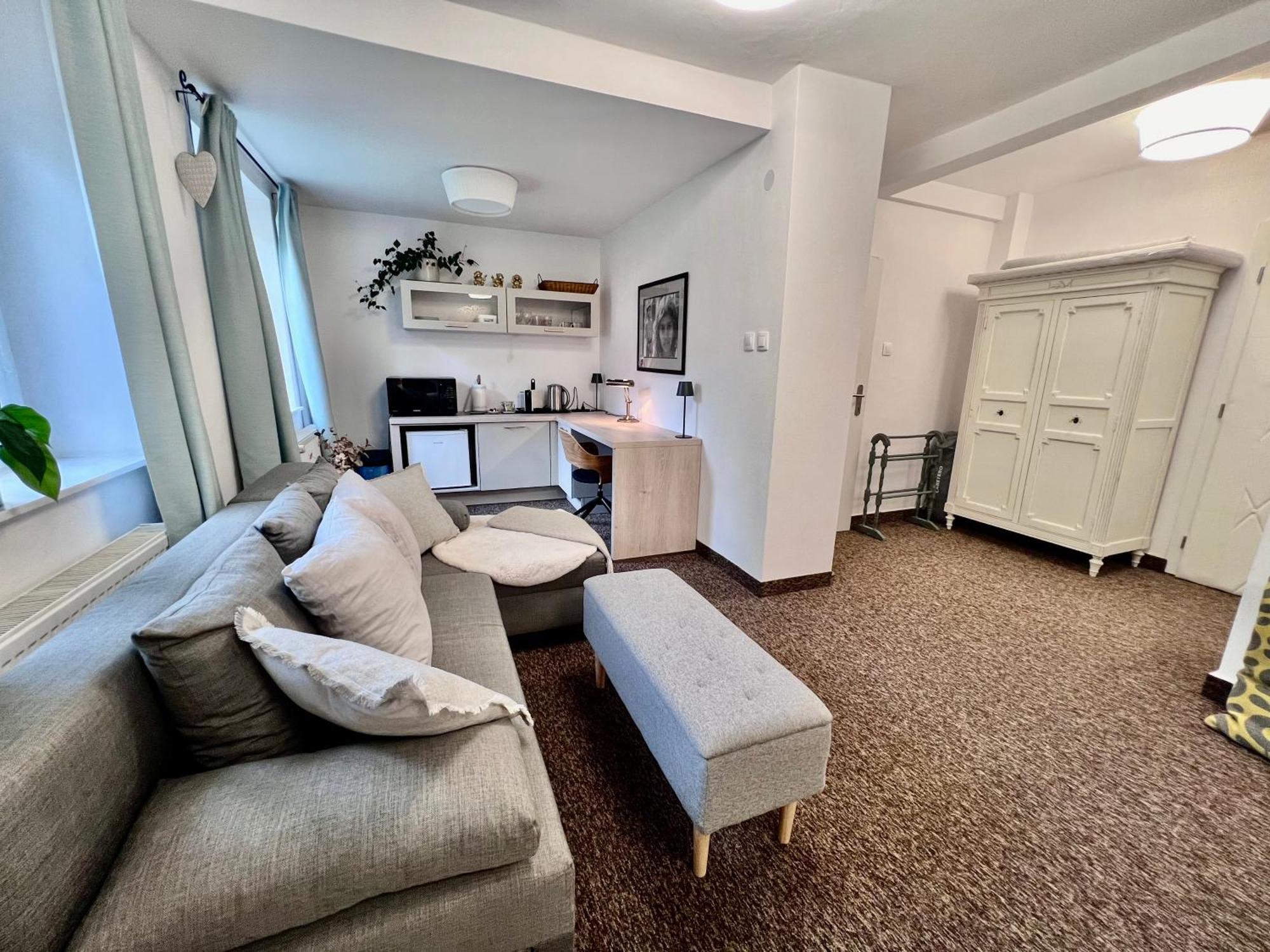 Bl - The Townhouse, 24hr Self Check-in, Free Private Parking, Garden, Adjacent To Beautiful Park, Centre 5 Min Walk Apartment Banska Bystrica
